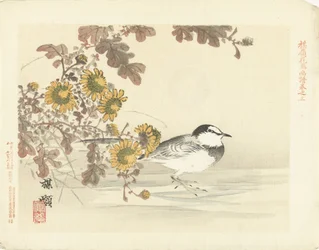 Cauda de abano japonesa
Esboços de flores e pássaros da Bairei (título da série)
Barei kacho gafu (título da série sobre o objecto)