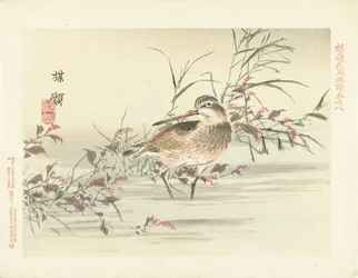 recorte Esboços de flores e pássaros de Bairei (título da série) Barei kacho gafu (título da série no objeto)