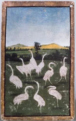 Garças em um campo, uma de um conjunto de cartas de baralho que descrevem cenas de falcoaria, Upper Rhein Area, c.1440-45 (caneta e tinta, wc) (ver também 88300-04)