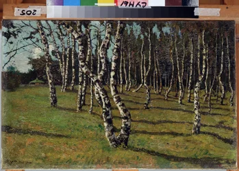 "No campo" Floresta de bétula. Pintura de Konstantin (Constantin) Gorbatov (1876-1945) Cerca de 1910 Museu Regional de Arte, Sumy