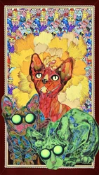 Gatos Sphynx coloridos