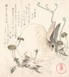 Lebre e dente-de-leão, provavelmente 1820.