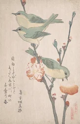 Olhos brancos japoneses num ramo de Pessegueiro,..., ca. 1805-10.