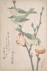 Zosteropes-japoneses num ramo de pessegueiro, da série Uma reunião de aves (Tori awase), do álbum de surimono Chuva de primavera (Harusame surimono-jō, vol. 3)