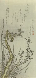 Ameixa Velha, 1796.