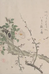 Rosas e Flores de Ameixa, século XIX.