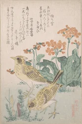 Lavercas e prímulas, da série «Uma variedade de aves» (Tori awase), do álbum de surimono Chuva de primavera (Harusame surimono-jō, vol. 3)