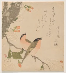 Dois Touros numa Cerejeira de Pétalas Duplas (Uso ni Yae-zakura)