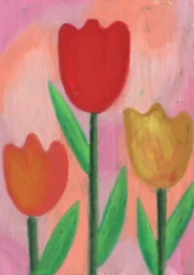 Tulipas coloridas da primavera