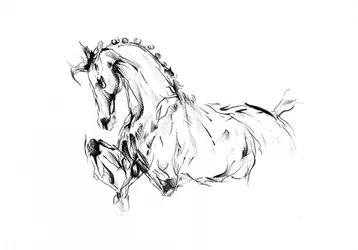 Esboço dinâmico de um cavalo