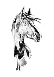 Esboço dinâmico de um cavalo