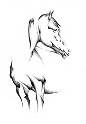 Cavalo abstrato elegante