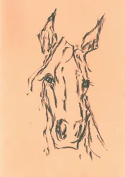 Esboço elegante de uma cabeça de cavalo
