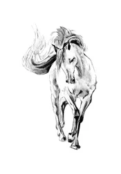 Esboço de um cavalo a galope