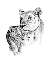 O amor de um filhote de leoa