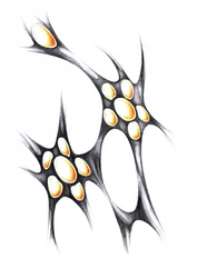 Formas Orgânicas Luminosas