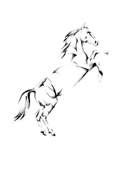 Cavalo em pé, majestoso