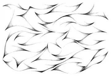Formas orgânicas e fluidas