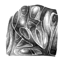 Formas orgânicas texturizadas