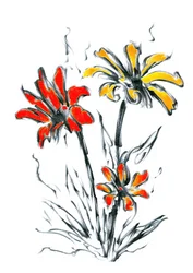 Esboço floral vibrante