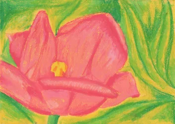Flor rosa vibrante