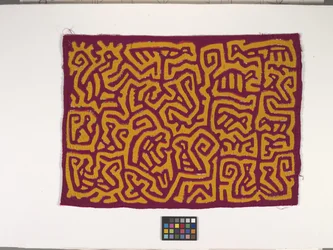 Painel de Camisa (Mola) (foto)