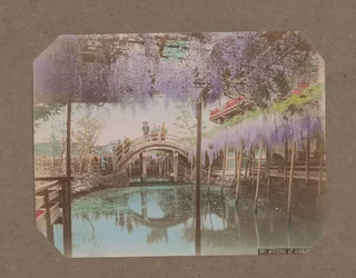 Pessoas em uma ponte, com glicínias florescendo em primeiro plano, em Kameido, Tóquio, Japão