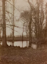 Álbum da Primeira Guerra Mundial em Friuli-Venezia Giulia: a lagoa no parque de Villa Brazza, Hospital de guerra n. 17, Soleschiano Manzano