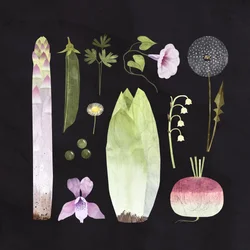 Vegetais e Flores, 2023 (digital)
