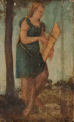 Mulher com escudo