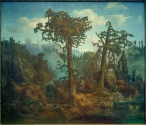 L.Hertervig, pinheiros velhos