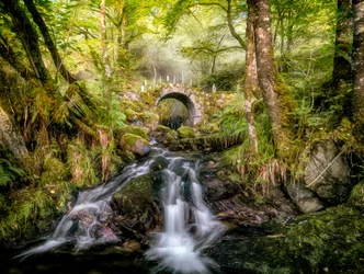 Ponte sobre o Riacho da Floresta Encantada