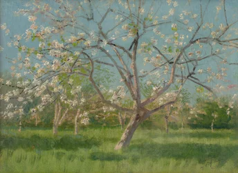 Árvores de pomar em flor, 1900-10