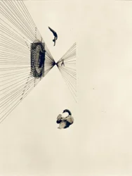 Leda e o cisne