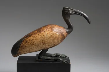 Ibis (bronze e madeira)