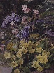 Estudo das Flores