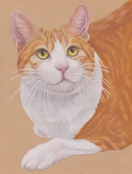 Dax, c.2024 (lápis de cor sobre papel de arte castanho)