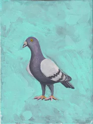 Pombo c.2023 (acrílico sobre tela)