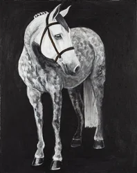 Cavalo Branco 2, c.2024 (acrílico sobre tela)