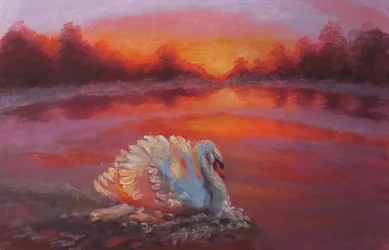 Em frente, Natação Cisne, 2024