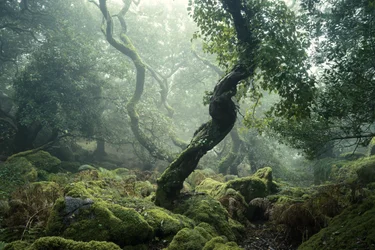 Despertar II, 2024 (foto)