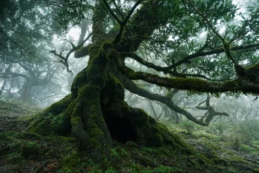 Terra Esquecida, 2025 (foto)