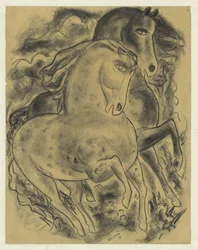 Dois cavalos