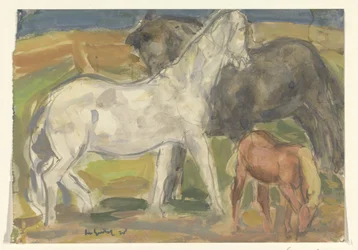 Dois cavalos e um potro numa paisagem