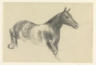 Cavalo de balde