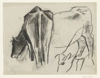 Três vacas