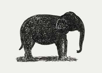 Elephant (c. 1891–1941)
