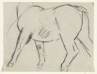 Corpo de um cavalo