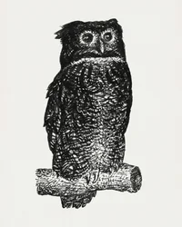Coruja