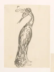Garça com a cabeça virada para trás